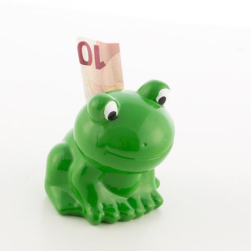 Skarbonka Żabka Junior Knows na Arena.pl