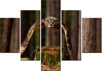 70 100CM OBRAZ 5 ELEM SOWA DRUK PŁÓTNO