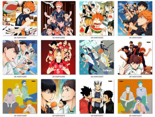 Poduszka kwadratowa Haikyuu!! DO WYBORU na Arena.pl