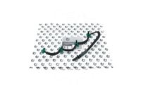 Przewód przelewowy FORD TOURNEO CONNECT / GRAND TOURNEO CONNECT V408 nadwoz