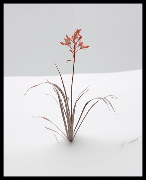 Plakat 40x50cm Subtelność Natury zdjęcie 2