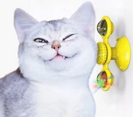 Gryzak z kocimiętką Interaktywna zabawka z przyssawką dla kota ŚWIECĄCA 360 na Arena.pl