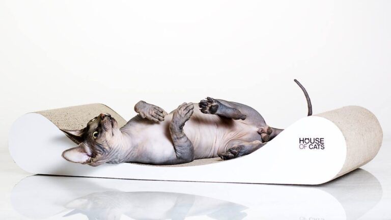 Drapak dla kotów Sofa Drapak dla kota Sofa White zdjęcie 3