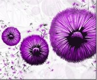 60CM 50CM OBRAZ ŚCIENNY FIOLETOWE DMUCHAWCE DRUK PŁÓTNO