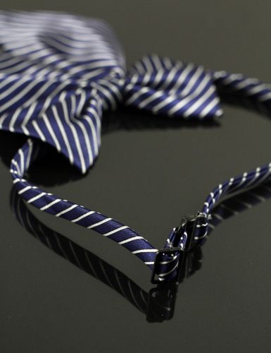 Męska mucha Estilo Sabroso Es0800 na Arena.pl