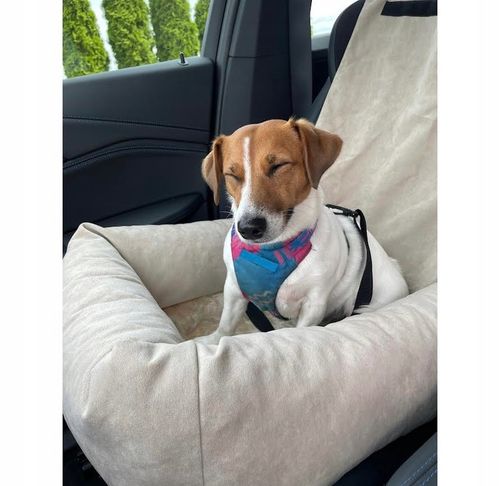 Fotelik samochodowy dla psa Transporter Velvet na Arena.pl