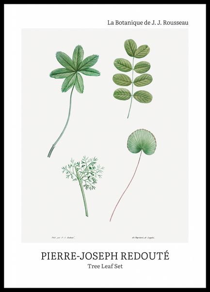 Plakat 50x70cm Design Tree Leaf Set, Redoute Vintage do Salonu zdjęcie 1