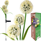 Lampa solarna wbijana DMUCHAWCE LED lampka kwiat SOLARNY KWIATY CZOSNKU