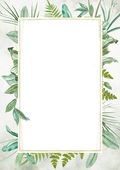 dyplom botanic 219617  170g 25szt 8107
