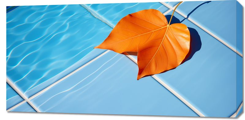 Obraz 100x50cm Liść przy Wodzie zdjęcie 1