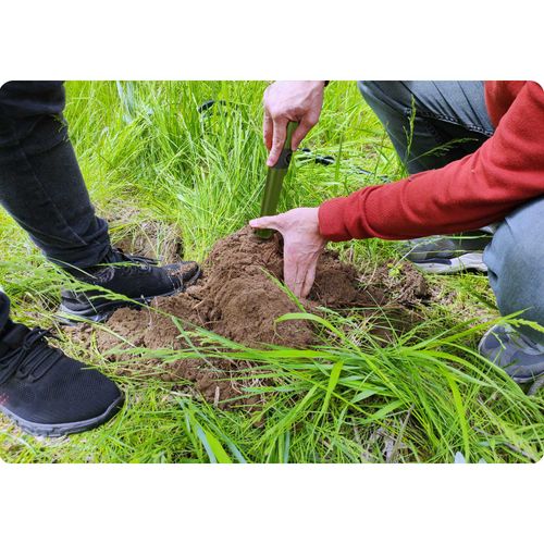 Wykrywacz metalu Pinpointer Cobra Tector CT-1078 na Arena.pl