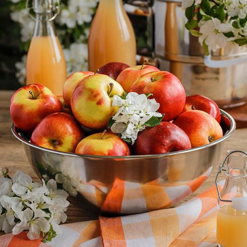 Miska stalowa nierdzewna Ø27 cm 3L VERGIONIC - kuchenna, okrągła na Arena.pl