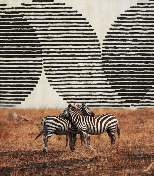 Dywan Eclipse Ivory 200x300 Carpet Decor Handmade Collection zdjęcie 5