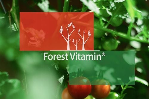 LIKOPEN 60kaps LYCOPENE PROSTATA SERCE MOCNY 20mg na Arena.pl