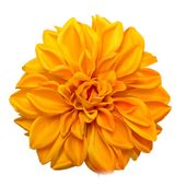Dalia wyrobowa tt yellow