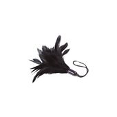 feather tickler black - prestiżowe pióra adrien lastic