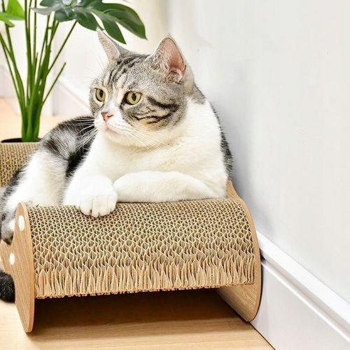 Drapak Dla Kota Sofa Łóżko Legowisko Karton Do Drapania Kanapa Kotka 60 cm na Arena.pl