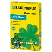koniczyna drobnolistna biała barenbrug lawn clover 0,5kg