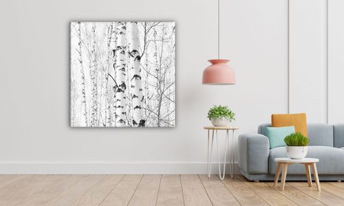 OBRAZ NA PŁÓTNIE 011 Brzozy 50x50cm na Arena.pl