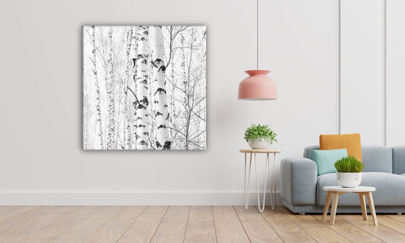 OBRAZ NA PŁÓTNIE 011 Brzozy 50x50cm zdjęcie 5