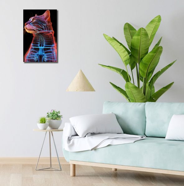 Obraz 30x50cm Anatomia Kota zdjęcie 2
