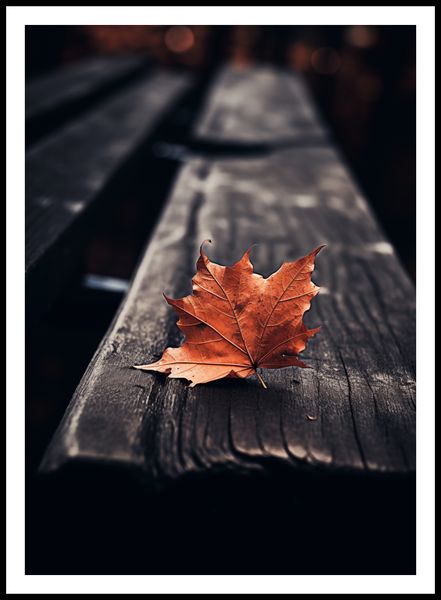 Plakat 64x90cm Pojedynczy Liść zdjęcie 3