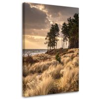 Obraz do salonu sypialni biura loftu, Widok Plaża Wydmy i Morze