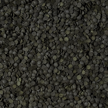 Tropical SPIRULINA Forte Chips 100ml na Arena.pl