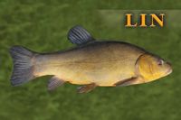 product-compare-52615339