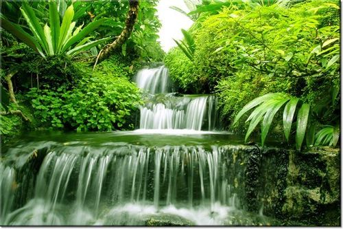 100 70CM OBRAZ PŁÓTNO WODOSPAD LESIE DESZCZOWYM PŁÓTNO RAMA na Arena.pl