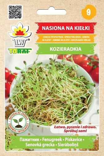 ZESTAW NASIONA NA KIEŁKI MIX ODMIAN ŁATWA UPRAWA MICROGREENS 21 SZT. GRATIS na Arena.pl