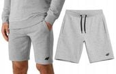 SPODENKI 4F MĘSKIE KRÓTKIE SPORTOWE SZORTY LATO TSHOM156 r. XL
