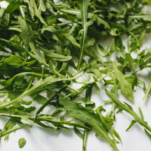 Rukola Dzika Wieloletnia Nasiona Soczyste Pikantne Liście Sałatek Kanapkę 1 na Arena.pl