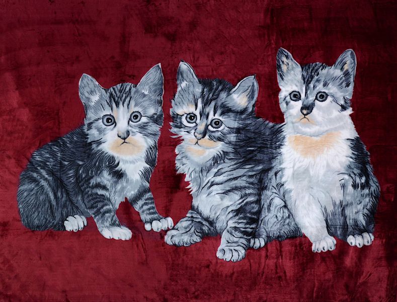 Gruby Koc Akrylowy 160X210 Koty Bordo 18783 zdjęcie 5