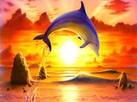 Malowanie Po Numerach Delfin Skaczący Na Tle Zachodu Słońca 50x40 Z Ramą