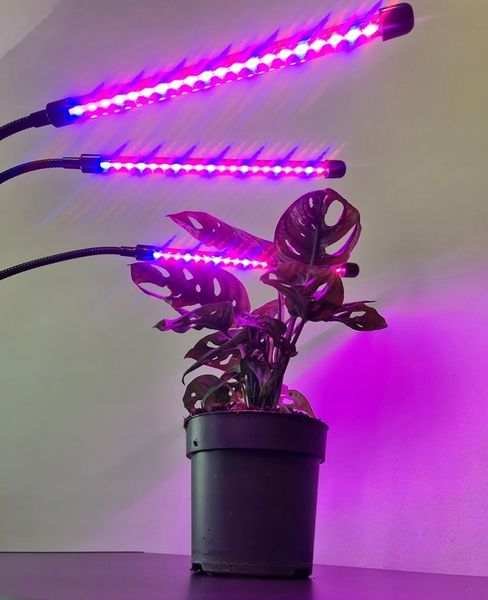 3 x Lampa do Wzrostu Roślin 60 LED Timer + Pilot zdjęcie 11