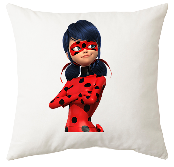 Poduszka Biedronka i Czarny Kot zdjęcie 1