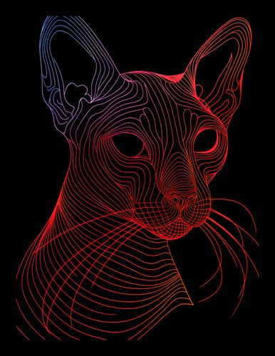 Plakat 15x20cm Cyfrowa Kocica na Arena.pl