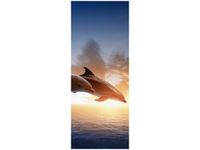 40X100CM DELFINY OBRAZ PION