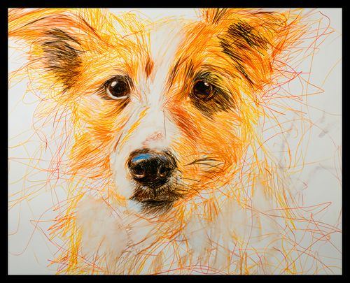 Plakat 50x40cm Uroczy Gość na Arena.pl