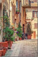 product-compare-58703719