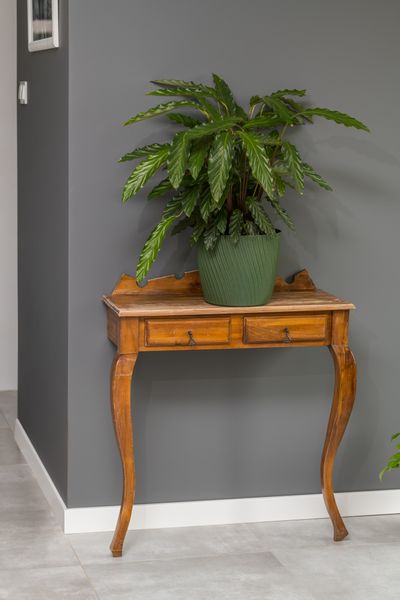 Doniczka okrągła Mika 23 z podstawką | Platyna, Kształt Okrągły, Wymiary 23x20.8 cm, Kolor Platyna, Form-Plastik zdjęcie 5