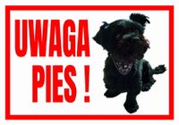 UWAGA PIES  SZNAUCER - Tabliczka ostrzegawcza