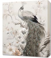 Obraz 50x60cm Pawia Gracja