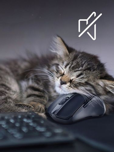 Myszka Bezprzewodowa Cichy Klik Sensor Pixart 3065 na Arena.pl