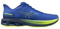 Męskie buty do biegania MIZUNO WAVE SKYRISE 7 (J1GC260901) 42.5