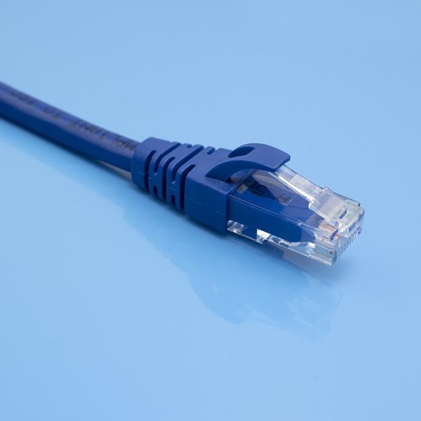 Qoltec Kabel Patchcord UTP CAT6 2 x RJ-45 5m High speed Gold zdjęcie 9