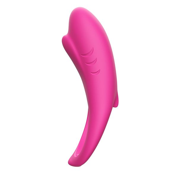 Shark rose red zdjęcie 2