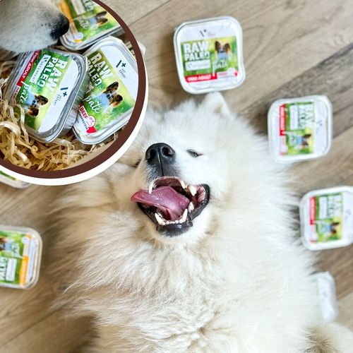 Mokra karma dla psów dorosłych małych ras wołowina Raw Paleo Pate 12x150g na Arena.pl