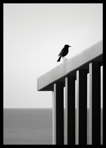 Plakat 29,7x42cm Samotna Odchłań na Arena.pl